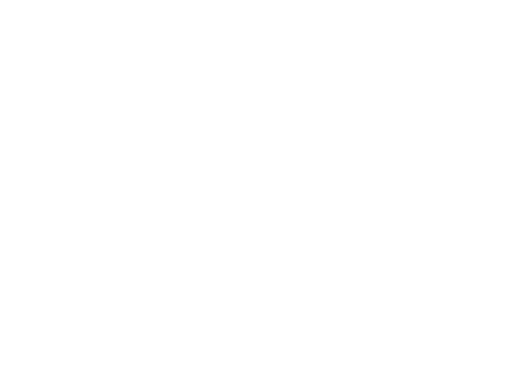 Spermatogenesis and ovulation