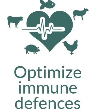 Optimizing immune defences